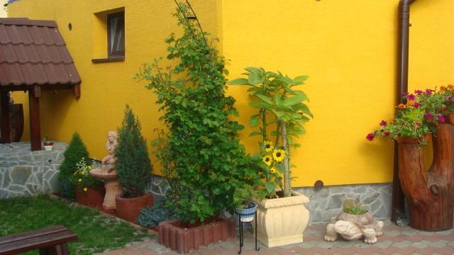Privat U Zdenky Hotel Tvrdosin Luaran gambar